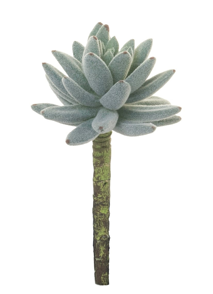 6" Succulent Stem- Flocked   SF1068
