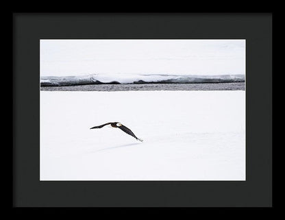 14.000" x 9.625" / Black / Black