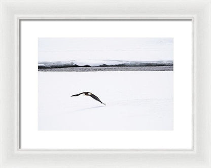 14.000" x 9.625" / White / White