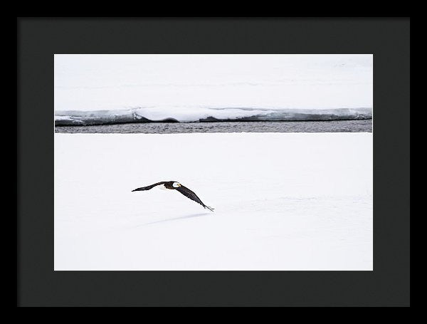 16.000" x 10.875" / Black / Black