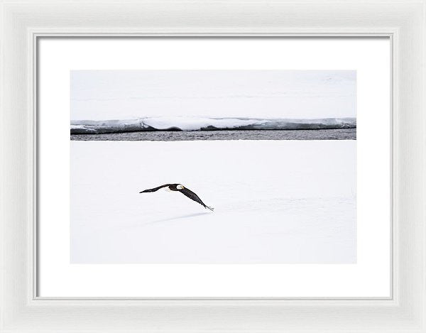 16.000" x 10.875" / White / White