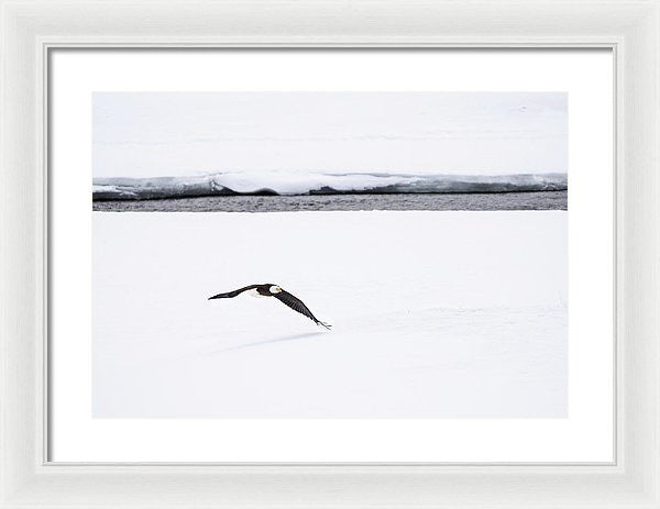 20.000" x 13.750" / White / White