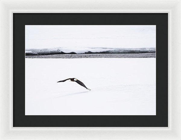 20.000" x 13.750" / White / Black