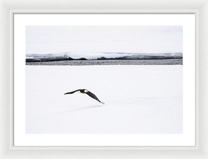 24.000" x 16.500" / White / White