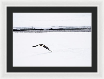 24.000" x 16.500" / White / Black