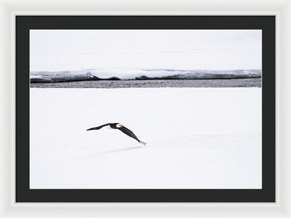 30.000" x 20.625" / White / Black