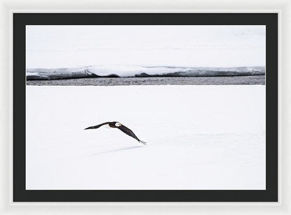 36.000" x 24.750" / White / Black