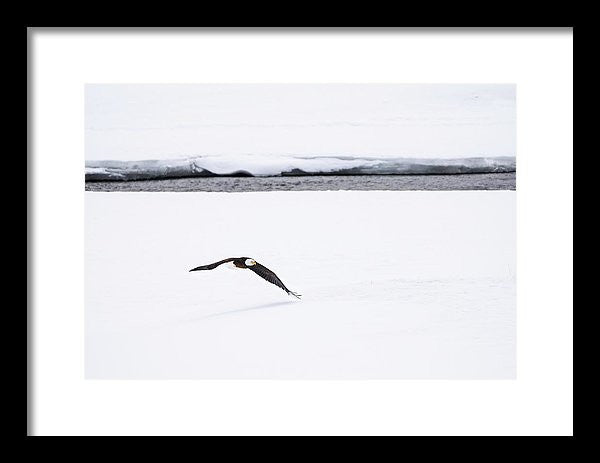 14.000" x 9.625" / Black / White