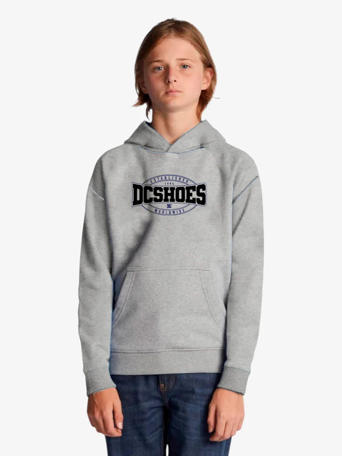 Buzo DC Niño Standout Gris - Indy