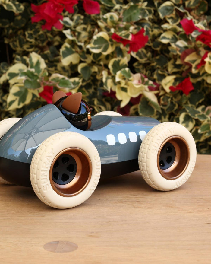 Playforever Car Egg Roadster SCRAMBLER