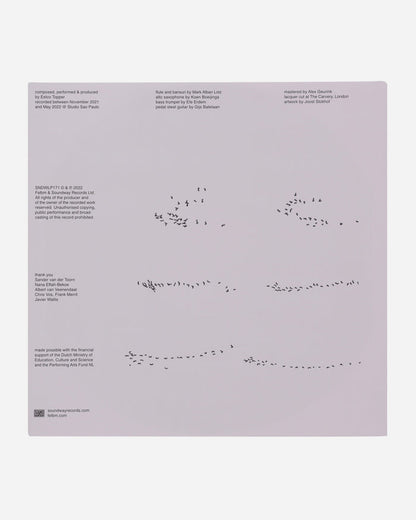 Vinyls Curated by Public Possession Felbm - Cycli Infini Multi Music Vinyls SNDWLP171 001