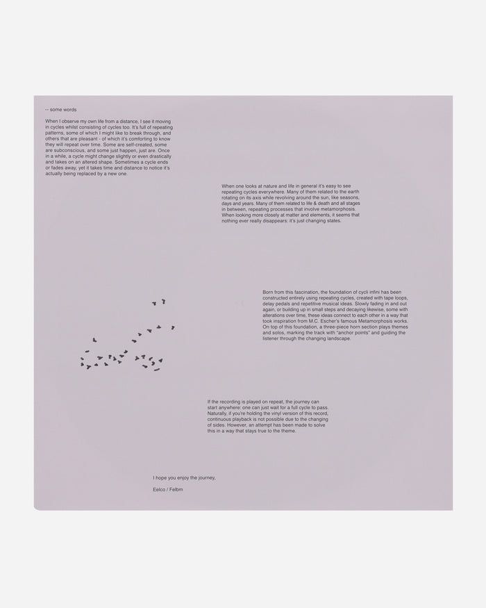 Vinyls Curated by Public Possession Felbm - Cycli Infini Multi Music Vinyls SNDWLP171 001