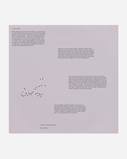 Vinyls Curated by Public Possession Felbm - Cycli Infini Multi Music Vinyls SNDWLP171 001
