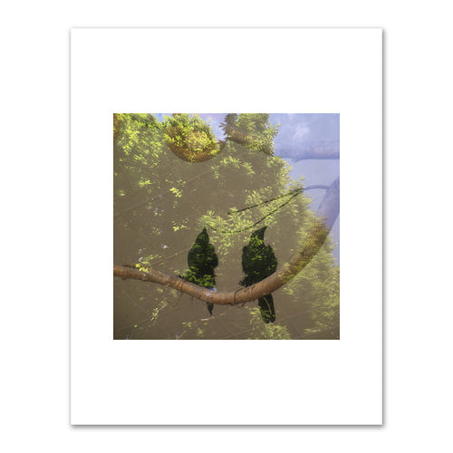 Judith Rayl, Homeward, 2018, Private Collection, Â© Judith Rayl. Fine Art Prints in various sizes by Museums.Co