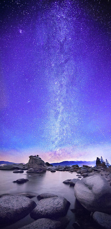 Star Gazer by Brad Scott  - Art Print