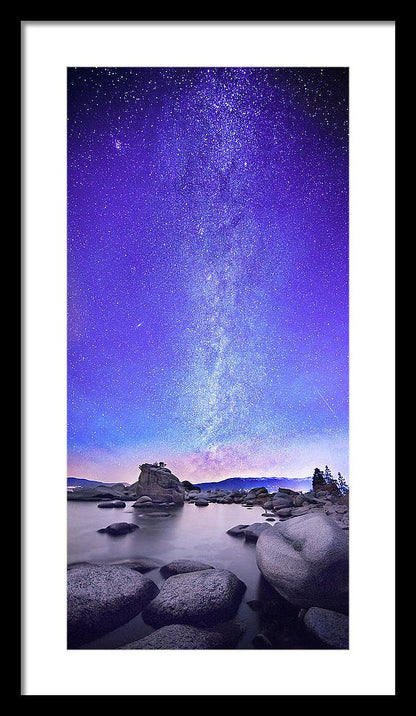 11.750" x 24.000" / Black / White