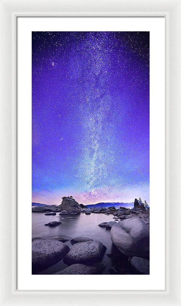 14.625" x 30.000" / White / White
