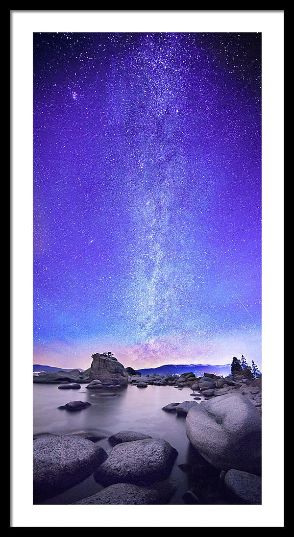 19.500" x 40.000" / Black / White