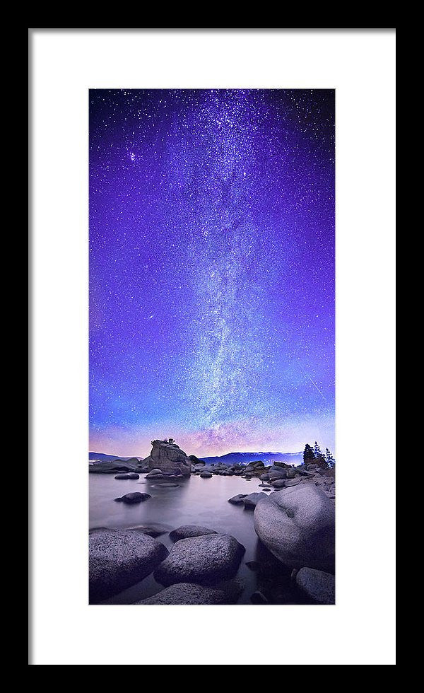 Star Gazer by Brad Scott - Framed Print