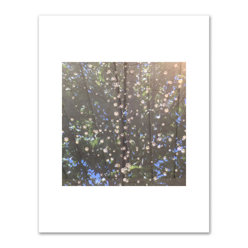Judith Rayl, The Luminous Entwining, 2018, Private Collection, Â© Judith Rayl. Fine Art Prints in various sizes by Museums.Co